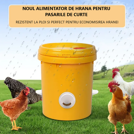 🐓 Hrănitor automat pentru pui, rață și gâscă